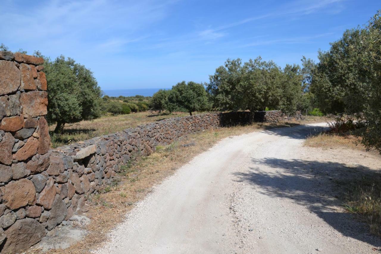 Casa Indipendente Immersa Nel Verde Con Vista Mare Dorgali Exterior foto